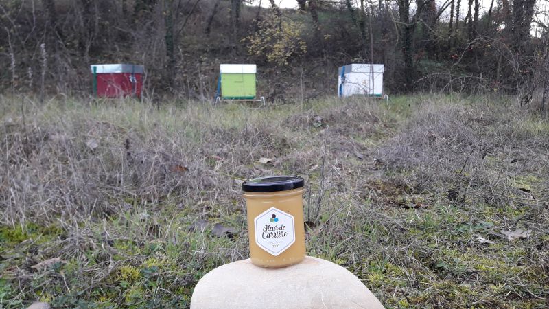 Cap sur la biodiversité!!